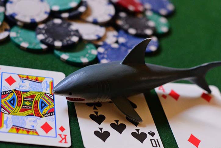 Акула в покере