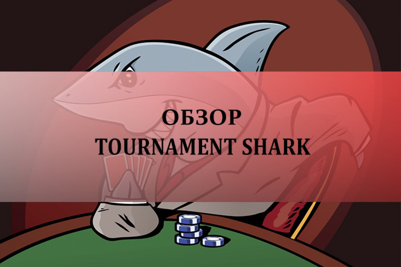 Tournament Shark