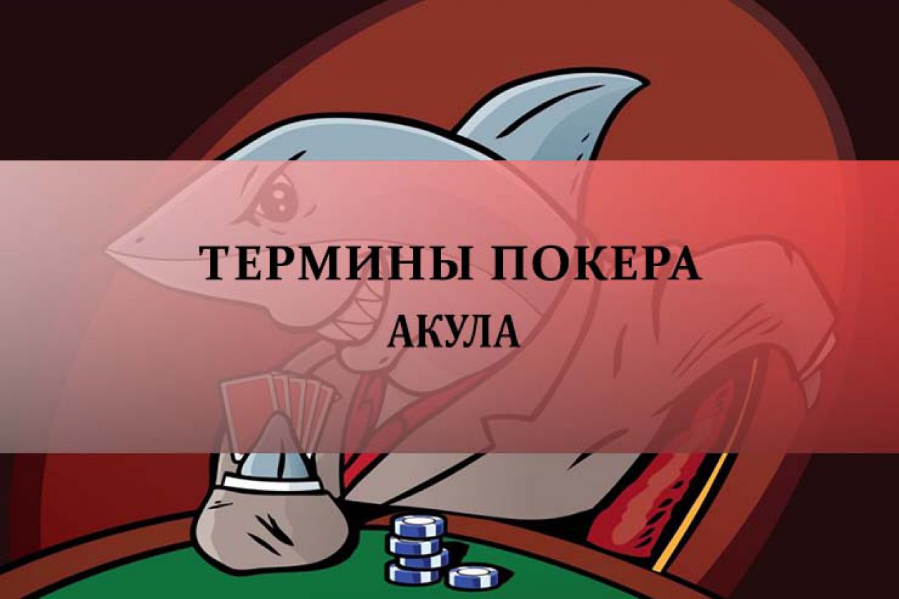 Акула в покере